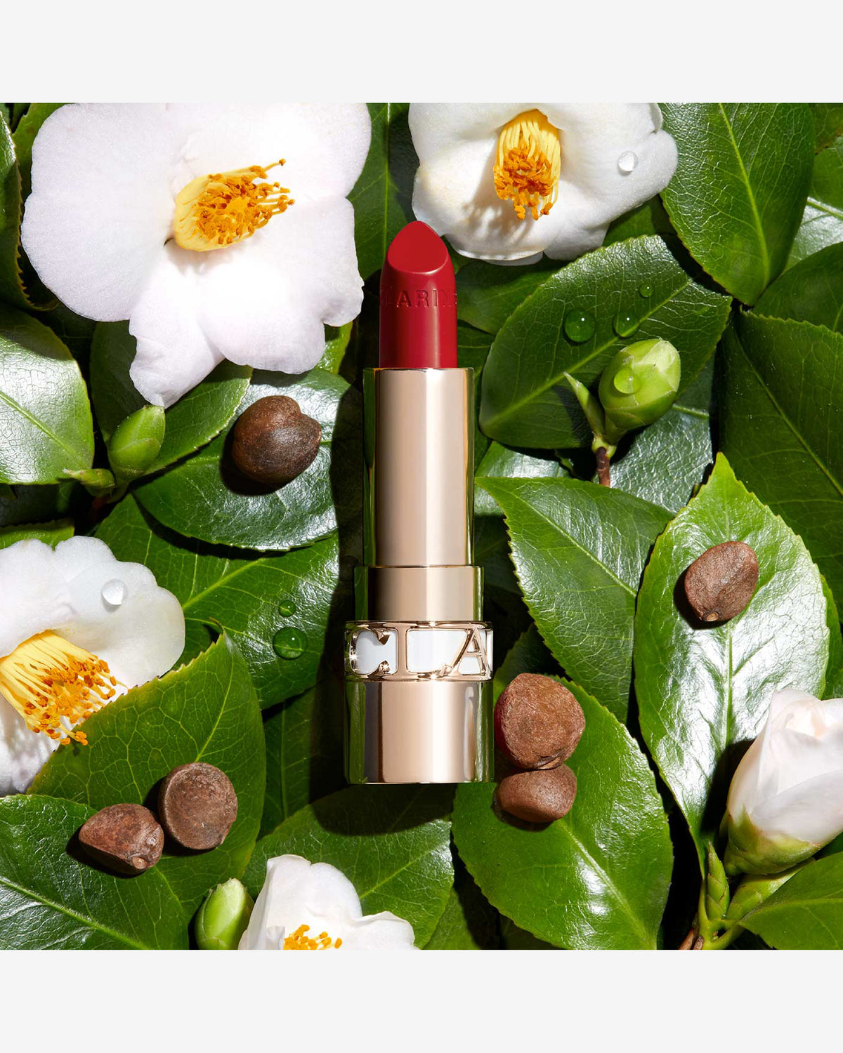 Joli Rouge Lipstick 3.5G