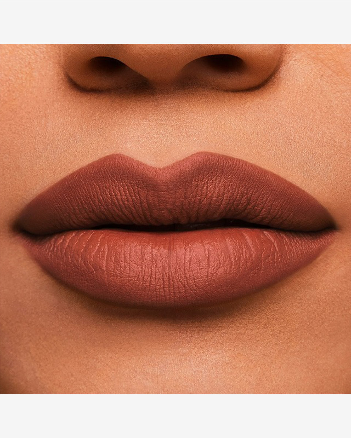 Pure Colour Matte Lipstick 3.5g