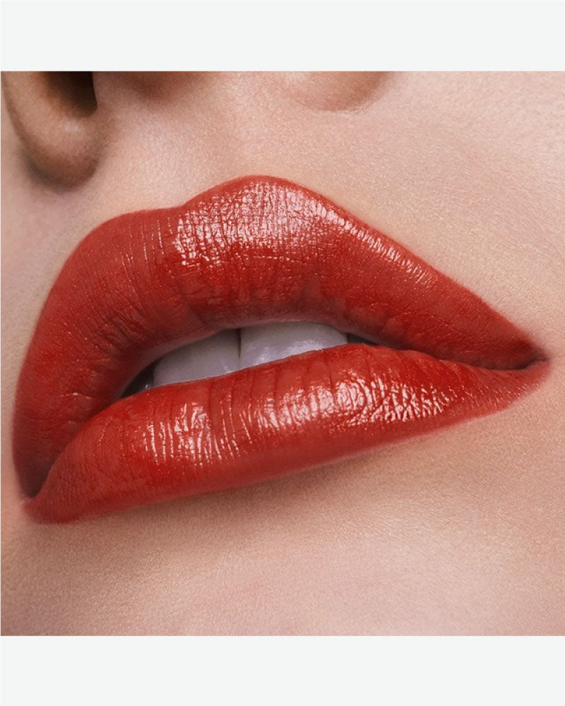 Pure Colour Lustre Lipstick 3.5g